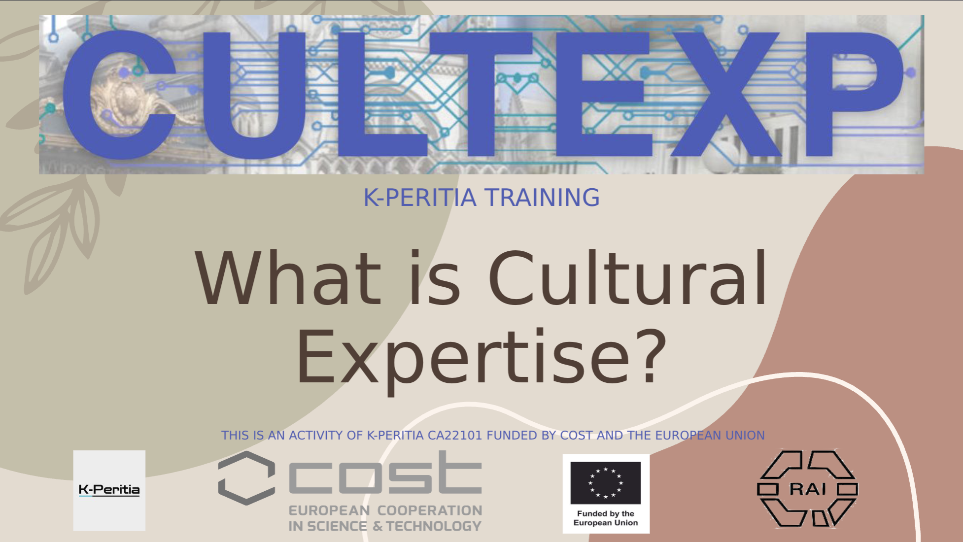 What is Cultural Expertise?